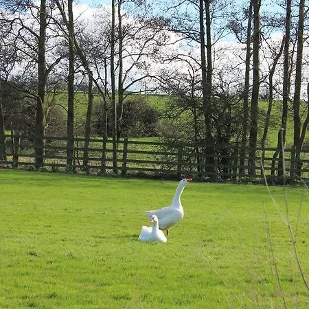 Bective Mill Bed & Breakfast 5*