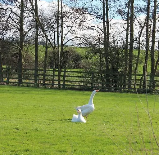Bective Mill Bed & Breakfast 5*