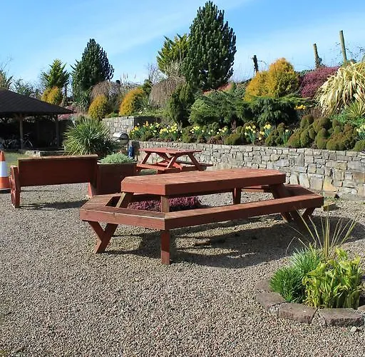 Bective Mill 5*